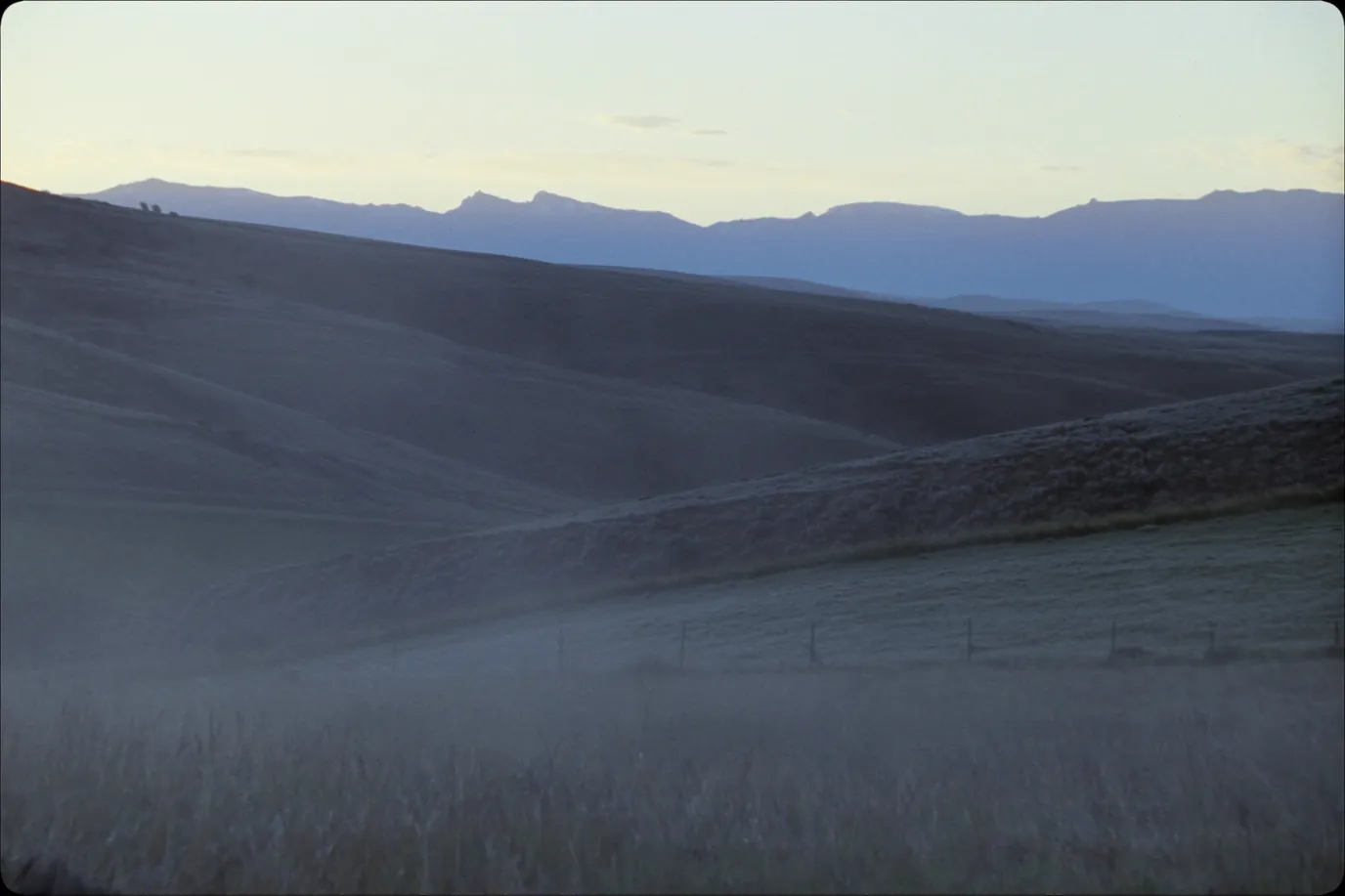 Alberta foothills at first light with the Rocky Mountains on the horizon and a fence line running into low mist.